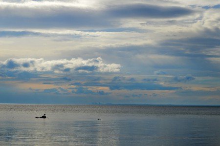 Uitzicht op Melbourne vanaf Canadian Bay Beach
